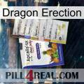 Dragon Erection 11